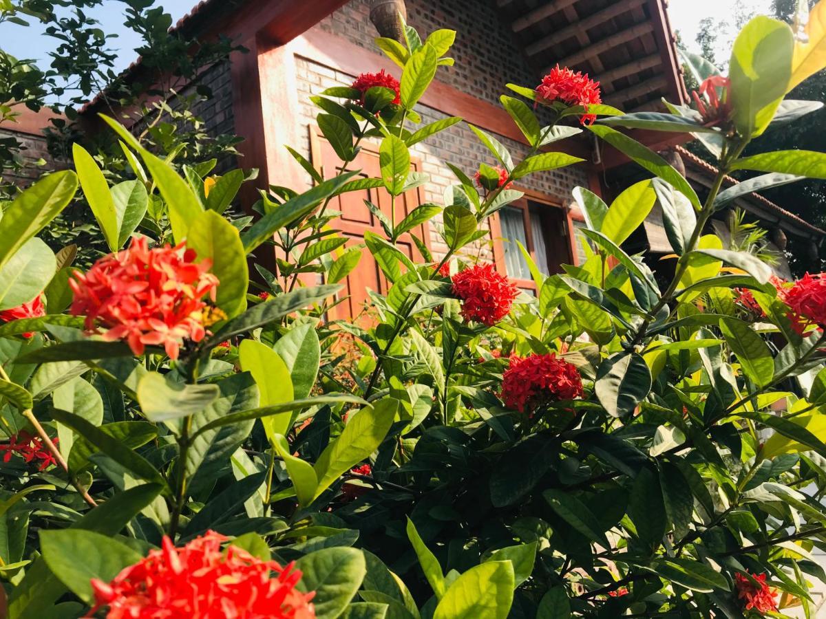 Tam Coc Friendly Homestay Ninh Binh Dış mekan fotoğraf