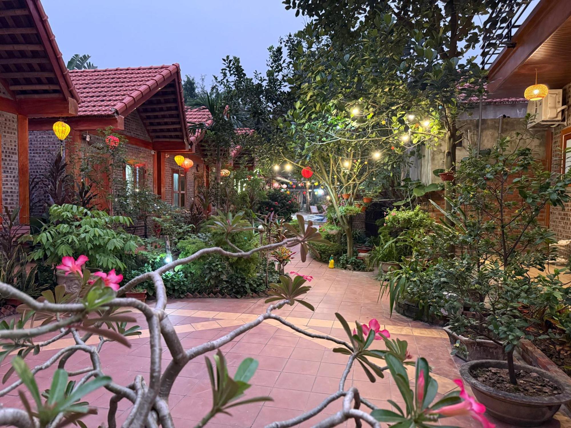 Tam Coc Friendly Homestay Ninh Binh Dış mekan fotoğraf