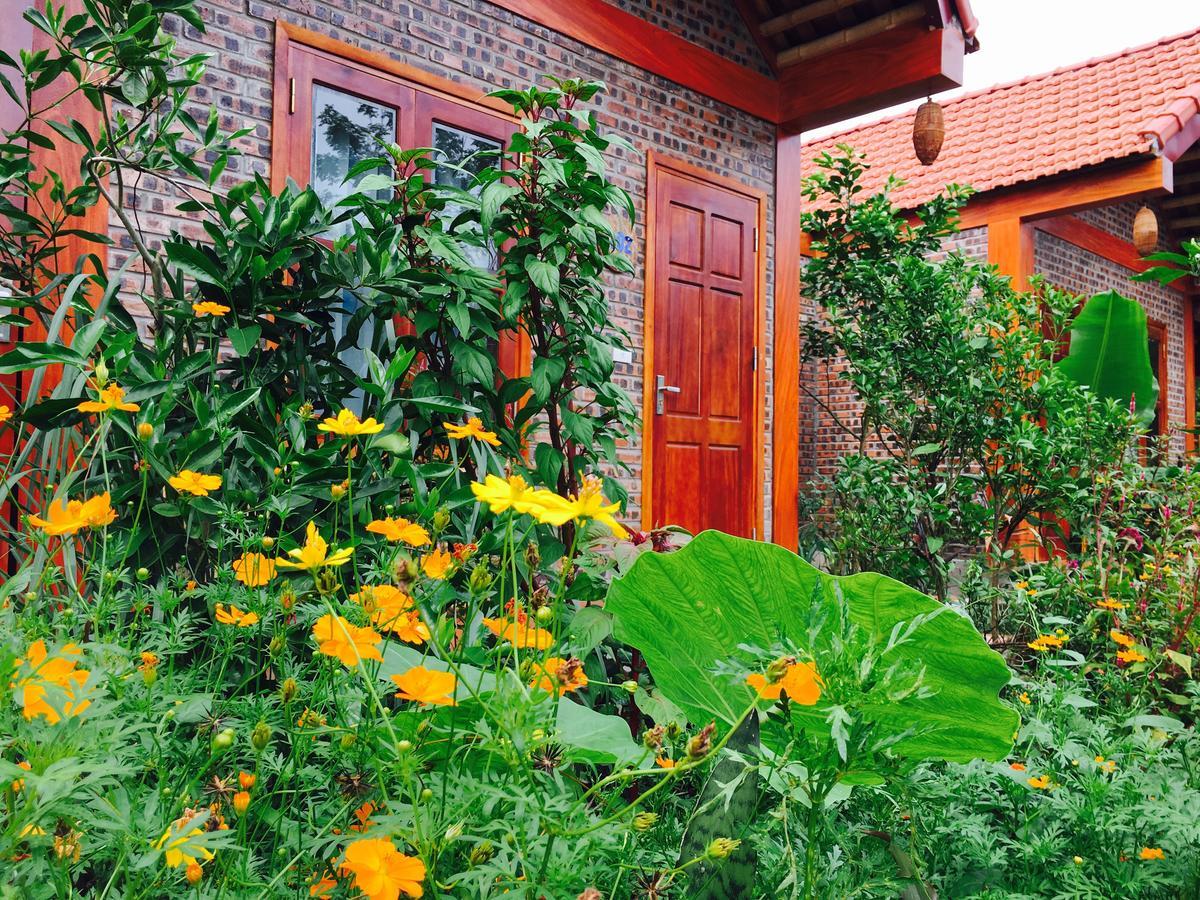 Tam Coc Friendly Homestay Ninh Binh Dış mekan fotoğraf