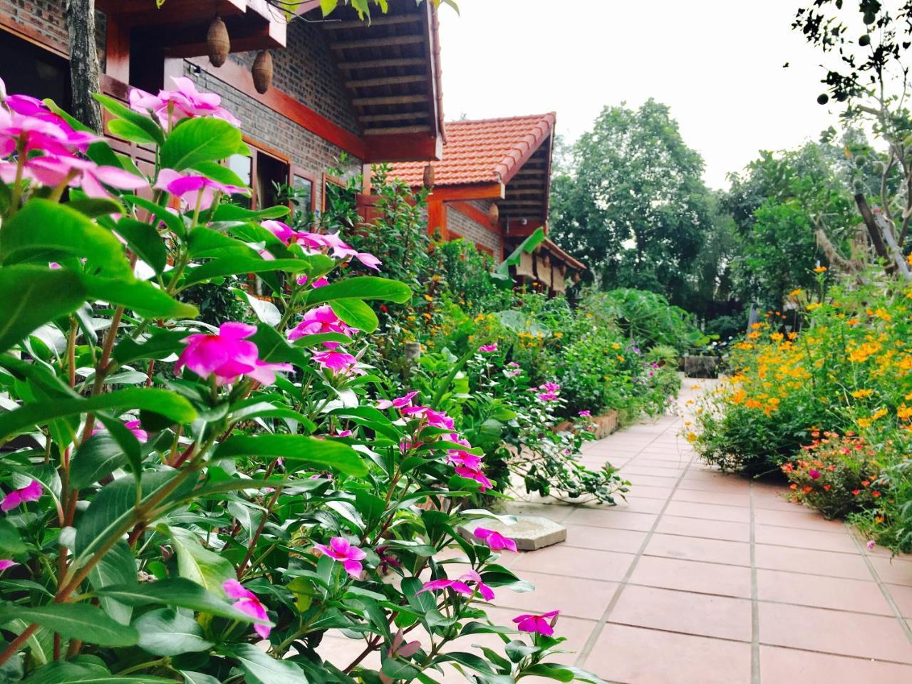Tam Coc Friendly Homestay Ninh Binh Dış mekan fotoğraf