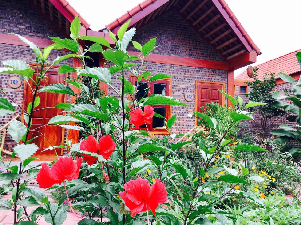 Tam Coc Friendly Homestay Ninh Binh Dış mekan fotoğraf
