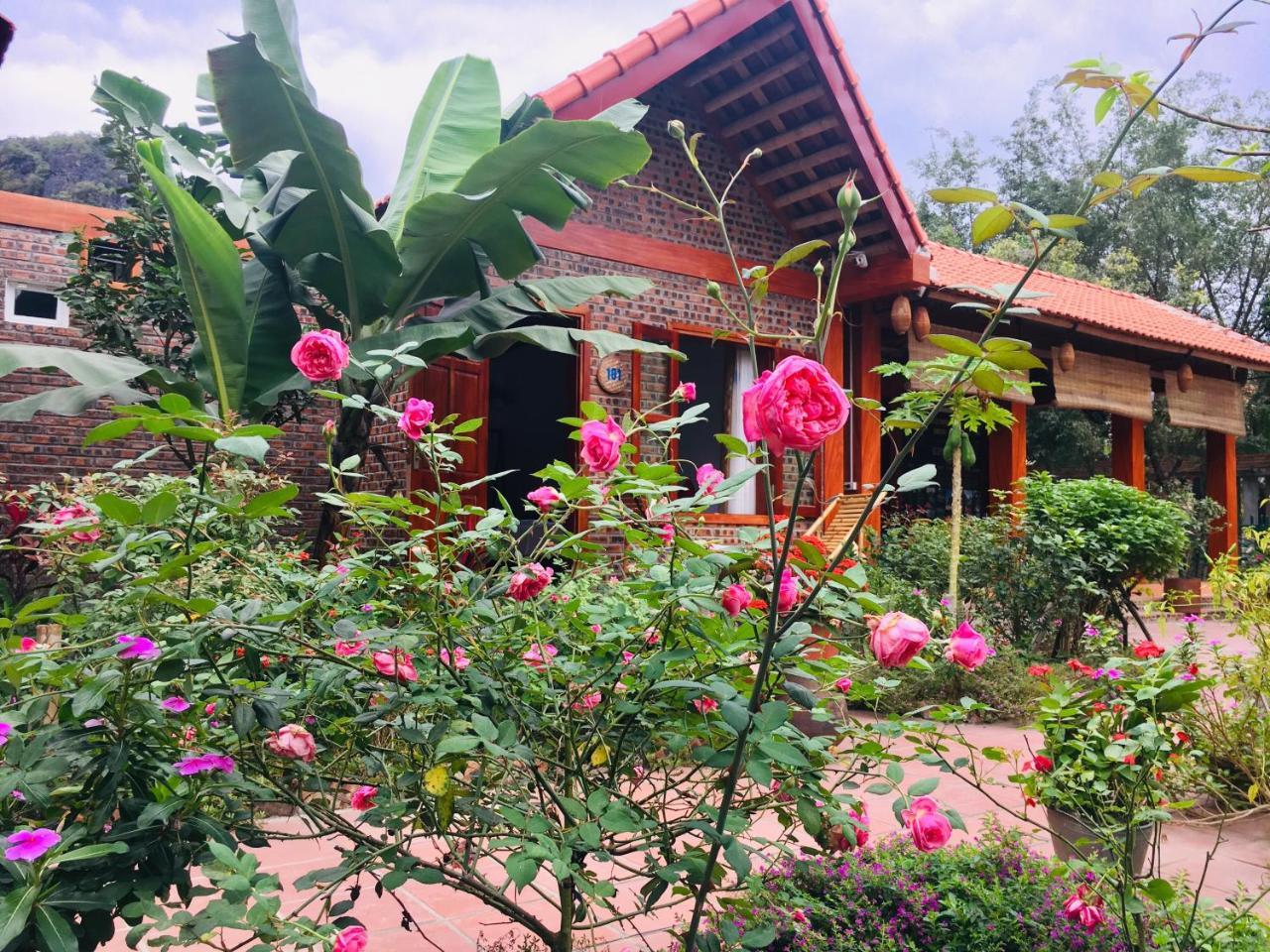 Tam Coc Friendly Homestay Ninh Binh Dış mekan fotoğraf