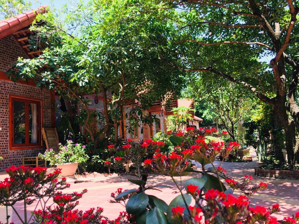 Tam Coc Friendly Homestay Ninh Binh Dış mekan fotoğraf